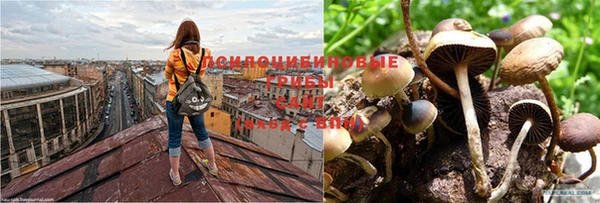 дурь Беломорск