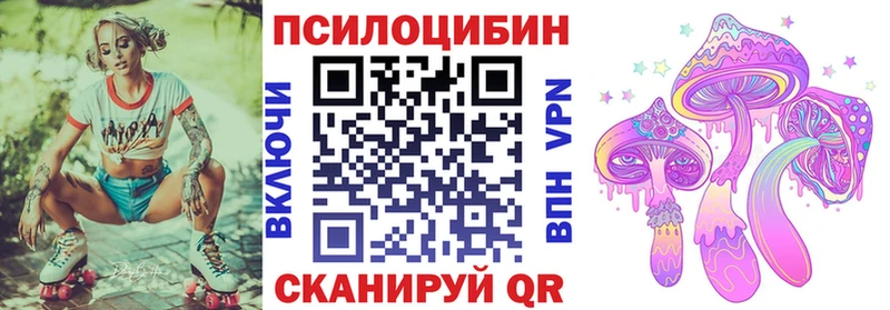 закладка  мега маркетплейс  Псилоцибиновые грибы GOLDEN TEACHER  Реутов 
